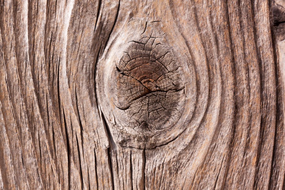 Natural wood texture
